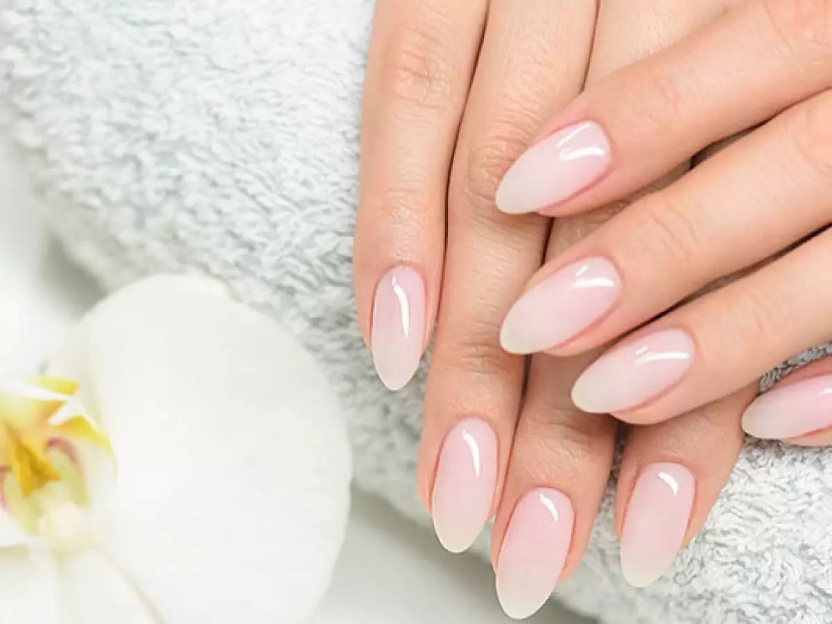 Havran Protez Tırnak